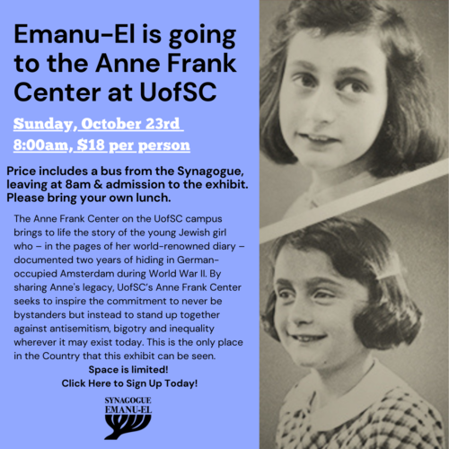 Emanu-El's trip to Anne Frank Center