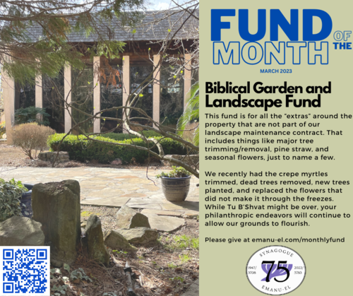 This fund is for all the “extras” around the property that are not part of our landscape maintenance contract. That includes things like major tree trimming/removal, pine straw, and seasonal flowers, just to name a few. We recently had the crepe myrtles trimmed, dead trees removed, new trees planted, and replaced the flowers that did not make it through the freezes. While Tu B’Shvat might be over, your philanthropic endeavors will continue to allow our grounds to flourish.  